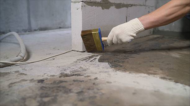 SJ Waterproofing Pros Waterproofing coverage map for Ortonville, MN and surrounding area